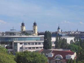 Panorama Apartment
